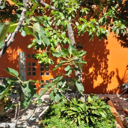 Ex Hacienda Apartamento Guanajuato Exterior foto